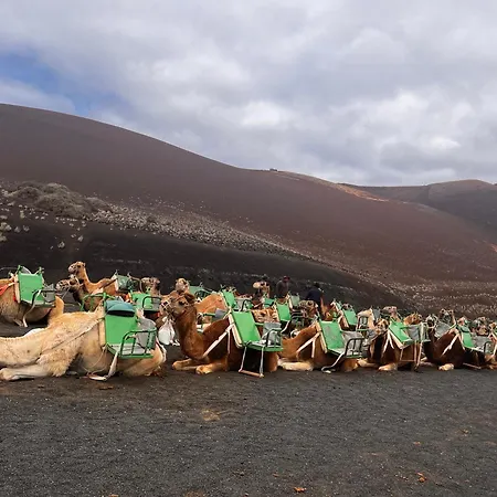 アパート A Sweet *