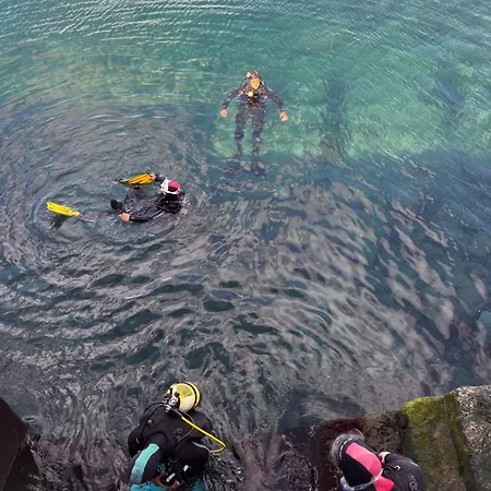 A Sweet アパート プエルト・デル・カルメン